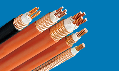 电缆产品图片-防烧灼控制电缆
